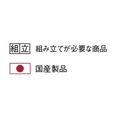 楽天市場】【P5倍3/25 13-15時&最大1万円ｸｰﾎﾟﾝ3/21~27】 【法人限定