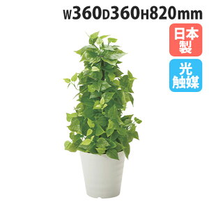 yő1~N[|11/20-26z tFCNO[ |[C|gX 360×s360×820mm ϗtA  tFCNt[ O[ G} EL A u^  { G-PLP