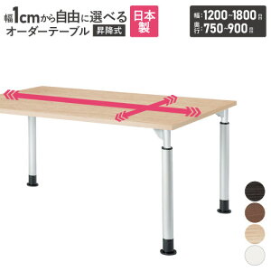 yP3{11/1 13-15&ő1~N[|11/1z y@lz cpe[u p^ ߉ 1200`1800×s750`900 I[_[e[u ce[u ~[eBOe[u TCYI TDL-1200