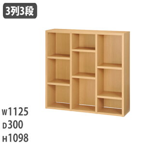 y@lz Lrlbg I[v 1125×s300×1098mm I J[{bNX I bN t[VFt ItBX  { ؐ  FRE-1125