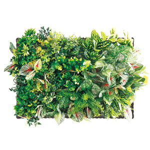 yP5{11/30 13-15&ő1~N[|11/30z y@lz tFCNO[ 642mm Ǌ|  ϗtA  C~e[VO[ O[pl EH[t[ O[ A It