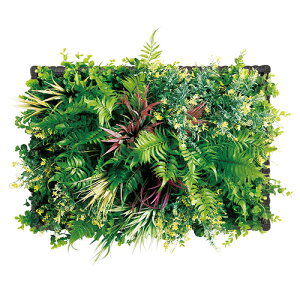 yP5{11/25 13-15&ő1~N[|11/20-26z y@lz tFCNO[ 642mm Ǌ|  ϗtA  C~e[VO[ O[pl EH[t[ O[ A I