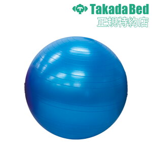 【最大1万円クーポン10/24-27】 【法人送料無料】 バランスボール 直径65cm 健康器具 ダイエット器具 フィットネス器具 ストレッチ器具 体幹トレーニング エクササイズ 運動 体操 TB-1295-02