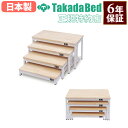 【法人限定】 訓練台 リハビリ器具 練習用腰掛 立ち上がり運動台 リハビリ 器具 立ち上がり練習 運動台 高齢者 介護 トレーニング リハビリ運動 国産 TB-1655
