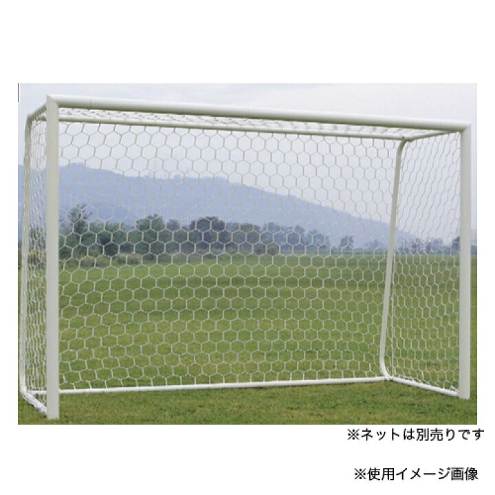 フットサル ハンドゴール兼用ゴールネット ゴール用ネット 白 2枚セット 六角目 ハンドボール