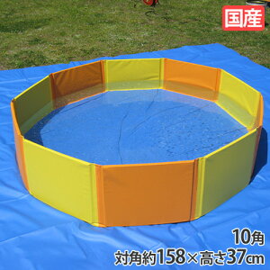 yő1~N[|11/20-26z ܂肽݃v[ 10p p^p^v[ rj[v[ {[v[ t@~[v[ v[ Csv q qp ƒp V Oä S-7270-71