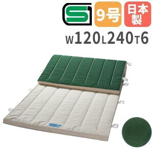 yő1~N[|9/4-10z ̑}bg 6cm 9z ׂ~ߕt 120×240×6cm SG}[Nt ^}bg ̈}bg X|W}bg є wZ ̈ }bg^ S_ { S-9626 LOOKIT I