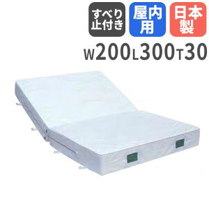 �y�@�l����z �̑��}�b�g 30cm�� 3�����z �����p ���ׂ�~�ߕt �܂肽���� 200×300×30cm �̈�}�b�g �G�o�[�}�b�g �\�t�g�}�b�g �Z�[�t�e�B�[ ���{�� S-9733 LOOKIT �I�t�B�X�Ƌ� �C���e���A