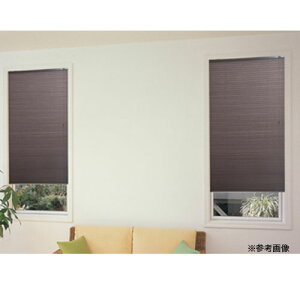 【P5倍10/25 13-15時&最大1万円クーポン10/24-27】 ハニカムブラインド 遮光 60×135cm 送料無料 日除け 目隠し カーテン ブラインド 保温 遮熱 シェード 遮光タイプ おしゃれ 無地 シンプル L6402-3