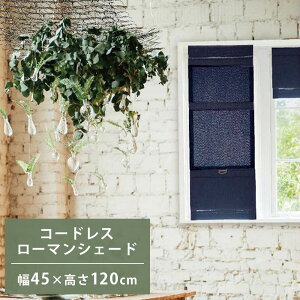 �yP5�{5/25 13-15��&�ő�1���~�N�[�|��5/23-26�z �V�F�[�h ��45×����120cm �����J�[�e�� ���[�}���V�F�[�h �u���C���h �J�[�e�� ���悯 �� �ډB�� �Ԏd�؂� �R�[�h���X ������� ���n �f�j���� �J�t