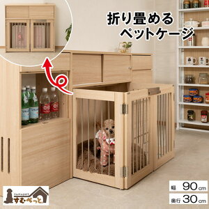 yP5{11/15 13-15&ő1~N[|11/14-16z ybgP[W 90cm ܂肽 ܂肽ݎybgP[W ybgT[N hbOQ[W P[W Q[W JE^[[ ybgpi ybg