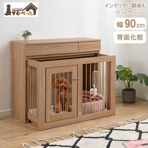 ybgP[W JE^[  P[W XCh 90cm ^ ybgT[N pP[W ybgtFX ͂   [t ނ؂ fy-0194