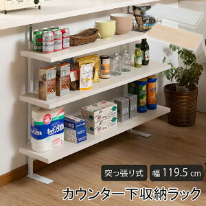 yP3{12/1 13-15&ő1~N[|12/1z bN ˂ 119.5cm I[vbN Lb`[ Lb`JE^[ JE^[[ ǖʎ[ ˂胉bN iK It Y nj-07