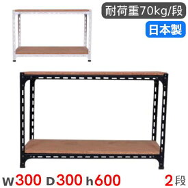 【SOY受賞！P5倍4/15 13-15時&最大1万円クーポン4/14~17】 スチールラック 幅30×奥行30×高さ60cm 2段 70kg/段 アングル棚 物品棚 オープンラック スチール棚 軽量ラック 収納棚 本棚 棚 オフィス 国産 ANGLE-303060-2