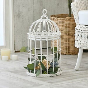 yP5{11/15 13-15&ő1~N[|11/14-16z oXPbg  ^oXPbg ݂艺CeA zCg^  K[[ ^  Ԃ  AWA ̓ GK832W