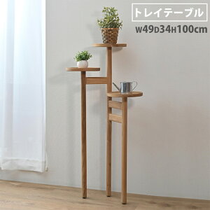 yő1~N[|9/4-10z gCe[u  ؐ 49×s34×100cm e[u ԑ fBXvC gC [ bN u I C  k _CjO G073RX