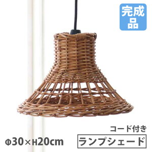 vVF[h STCY a30×20cm Ɩ v y_gCg VƖ R[ht ݂艺 ^  El nhCh AWA  P121SME