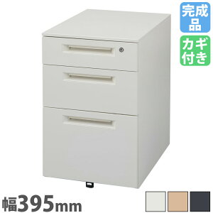 yP5{11/30 13-15&ő1~N[|11/30z fXNS 3i V_[ 395×s550mm TChS e Lrlbg S TChfXN X`[S o I[bN [ 