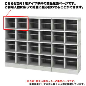 シューズロッカー 2人用 樹脂製 扉なし 中棚なし プラスチックロッカー プラロッカー シューズボックス 下駄箱 オープン 靴箱 学校 オフィス 2列1段 TJL-S-21