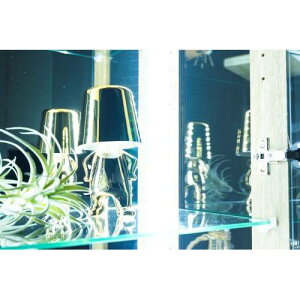 LEDライト2本組 コレクションラック用ライト LEDライト2本セット 白色ライト オリーブ(H)用ホワイトLED縦型 OLIVE-LEDWHH 【時間指定不可】