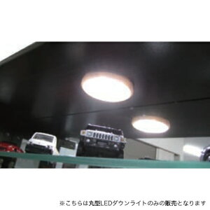 yő1~N[|9/4-10z LEDCg VXpLEDCg Ɩ  I KXP[X RNVP[X KXLrlbg ی^LED_ECg SYANSU-LED yԎwsz