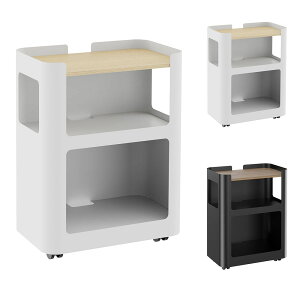 y@lz I[vS 3i X`[ 460×s290×606mm TChS fXNS t[AhXS [I [ LX^[t RFOWG-3