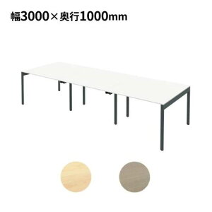 yő1~N[|11/20-26z y@lz t[AhXfXN 3000×s1000×720mm ItBXfXN  [Ne[u t[CAEg 300cm cpe[u FAS10-3010