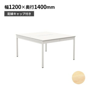 yő1~N[|11/4-10z y@lz t[AhXfXN ot 1200×s1400×720mm ItBXfXN  [Ne[u t[CAEg 120cm NSQ2N-1214