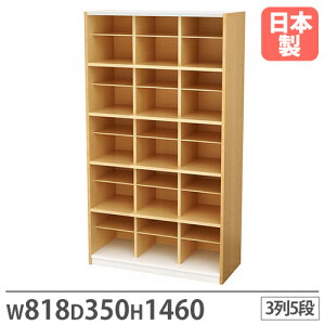 【法人限定】 靴箱 3列5段 幅818×奥行350×高さ1460mm シューズボックス シューズラック スリッパラック 下駄箱 おしゃれ シンプル オフィス 国産 PLN-165C