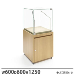 yő1~N[|11/20-26z y@lz V[P[X GXvh {bNX 600×s600×1250mm LEDƖt LX^[t vbVt WP[X KXI X EPD6060B-N
