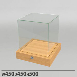 yP5{11/15 13-15&ő1~N[|11/14-16z y@lz ANP[X ^Cv 450×s450×500mm vbVt ` WP[X RNVP[X fBXvC Xܗpi 