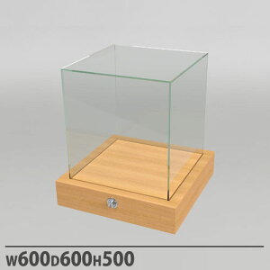 yő1~N[|11/4-10z y@lz ANP[X ^Cv 600×s600×500mm vbVt ` WP[X RNVP[X fBXvC Xܗpi TQAD6060-N