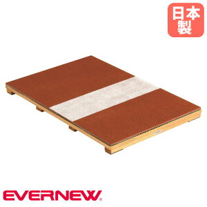 yő1~N[|11/20-26z ӂ݂ Goj[ tbg^Cv Op 90×60×5.5cm SV^㋣Zpܑ ό ϖՐ σXpCN ؔ  { EGC193