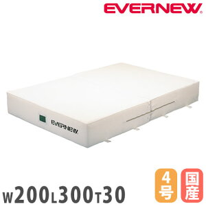 yő1~N[|12/4-10z Go[}bg p  Goj[ X^_[h^Cv 200×300×30cm |GXe4z ʃbVCEt S}bg { EGD123