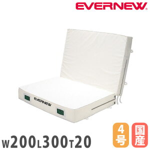 ySSP5{12/10 13-15&ő1~N[|12/4-10z Go[}bg p ܊~t Goj[ X^_[h^Cv 200×300×20cm |GXe4z ʃbVCEt }b