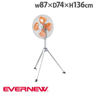 yő1~N[|11/20-26z ^@ Goj[ 87×s74×117`136cm 4iKpx 90xU  3iK Or Ɩp@ ^t@ ΍ EKA969