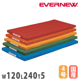 【P5倍1/15 13-15時&最大1万円クーポン1/9-15】 カラー体操マット エバニュー 幅120×長さ240×厚さ5cm 再生ポリエステル4号帆布 赤 オレンジ 黄 緑 青 日本教材備品協会安全基準適合品 SG仕様品 日本製 EKM002