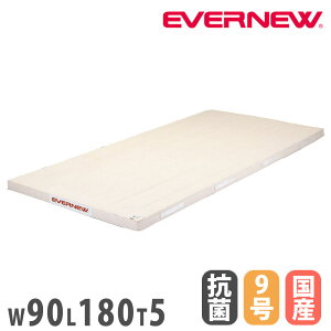 �̑��}�b�g �G�o�j���[ �R�ۍ����X�|���W�}�b�g ��90×����180×����5cm 9�����z SG�d�l�i ���{���ޔ��i������S��K���i �}�b�g �̈�}�b�g ���{�� EKM101