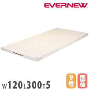 �y�ő�1���~�N�[�|��4/4-9�z �̑��}�b�g �G�o�j���[ �����X�|���W�}�b�g ��120×����300×����5cm 9�����z SG�d�l�i ���{���ޔ��i������S��K���i �}�b�g �̈�}�b�g �̈� ���{�� EKM233