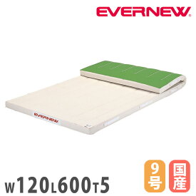 【P5倍1/15 13-15時&最大1万円クーポン1/9-15】 体操マット エバニュー ミラスポンジマット 滑止付 幅120×長さ600×厚さ5cm 9号帆布 SG仕様品 日本教材備品協会安全基準適合品 体育マット 体育 日本製 EKM474