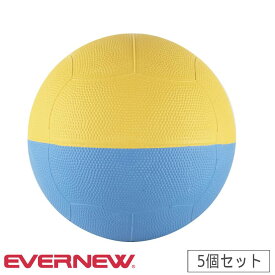 ライトドッジボール 5個セット エバニュー 最大時直径19cm 合成ゴム製 トレーニングボール ドッジボール 体つくり用品 教育施設 学校 体育 授業 備品 EKD445-S