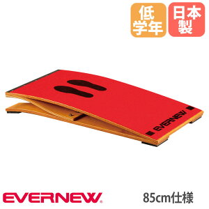 єؔ C^[ Goj[ 45×85×11cm wN ؔ {ޔiSKi SG}[NFؕi ̈pi { EKF403