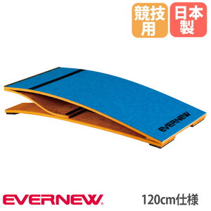 єؔ C^[ Goj[ 60×120×20cm Zp ؔ {ޔiSKi SG}[NFؕi ̈pi  { EKF410
