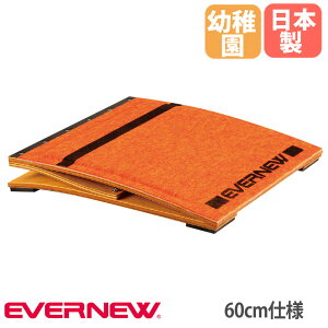 yő1~N[|11/20-26z єؔ C^[ Goj[ 45×60×11cm wN 60cmdl ؔ єpi ̈pi { ^{ wZ { EKF417