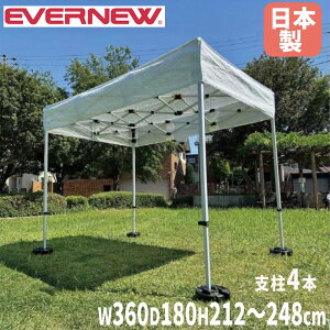 yő1~N[|11/20-26z ^b`bVeg 1.8×3.6 Goj[ Ԍ360×s180cm 4{x Vt t[p[ܕt ʂeg Ռeg OCxg { EKU732