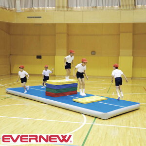 yő1~N[|12/4-10z GA[gbN}bg p Goj[ 200×600×20cm PVC Z[teB[}bg GA[g| g| }bg^pi wZ ETE212