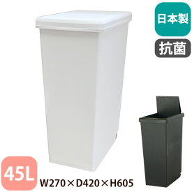 ゴミ箱 45L 抗菌 ダストボックス スライド ペール DUST BOX ダストBOX くず入れ キッチン 分別 台所 北欧 おしゃれ キャスター付き シンプル 国産 252609-252616