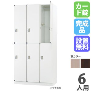 【P5倍10/30 13-15時&最大1万円クーポン10/30】 【設置無料】 ロッカー 6人用 3列2段 カード錠 スチール ナチュラル ブラウン 木目 更衣ロッカー スチールロッカー かぎ付き 六人用 6人用ロッカー D