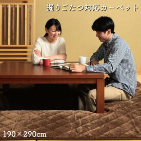 こたつ敷き 掘りごたつ用 イケヒコ 190×290cm こたつ敷き布団 こたつ用敷布団 おしゃれ シンプル かわいい リビング洗濯機 無地 洗える 掘り炬燵 冬 G5411129