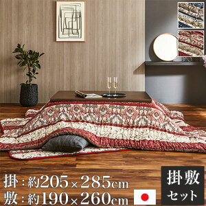 yő1~N[|9/19-23z zc Zbg CPqR ` 205×285cm xzc |zc ~zc x|zc pzc | 唻 ӂӂ { VIORSET285